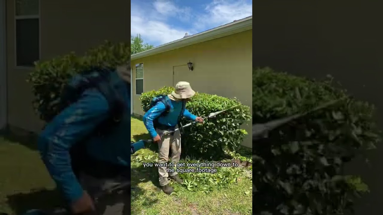 How to do lawn care estimates 2022