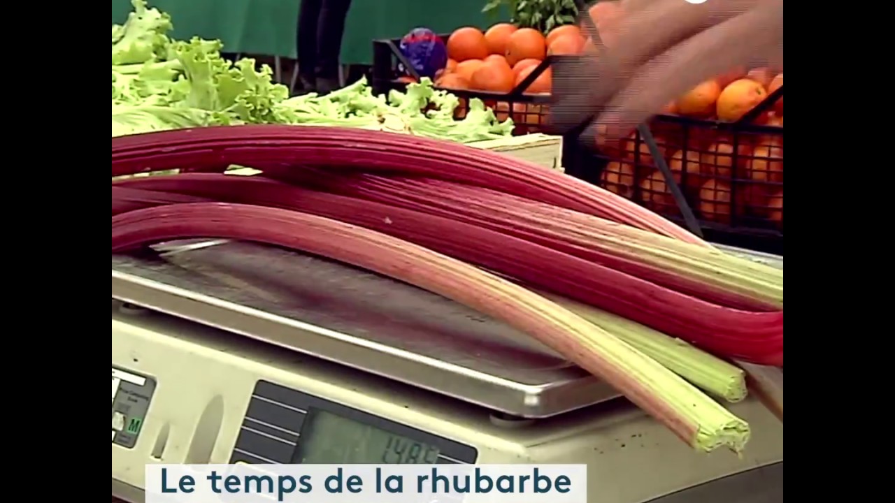 La rhubarbe en compote, tarte ou confiture