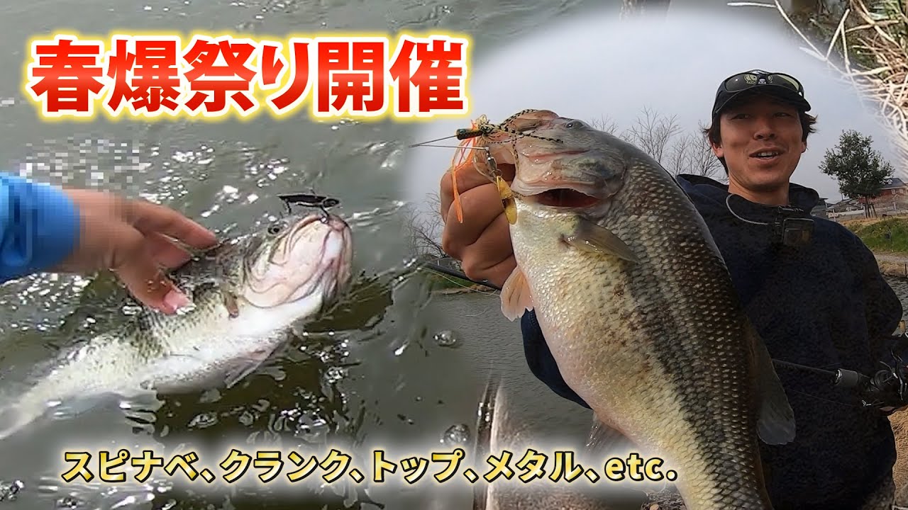 【新規開拓】我々は、また楽園を見つけてしまった。