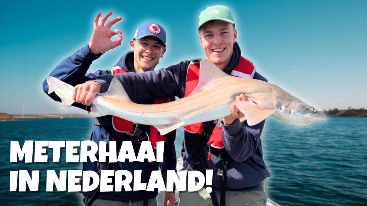 Dikke HAAIEN vangen met de jeugd! | VISbazen #44