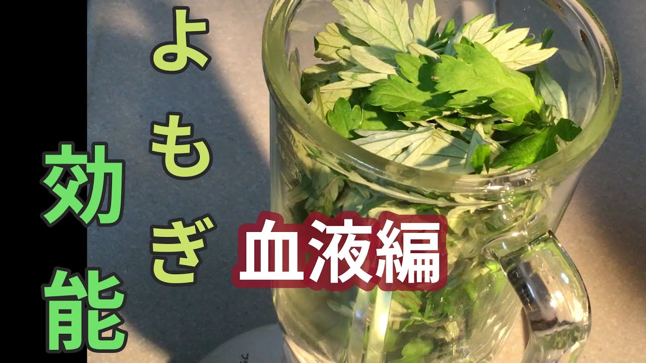 【野草活用】高血圧の方必見！『よもぎ』血液にイイ効果がたくさん！＜田舎暮らし＞