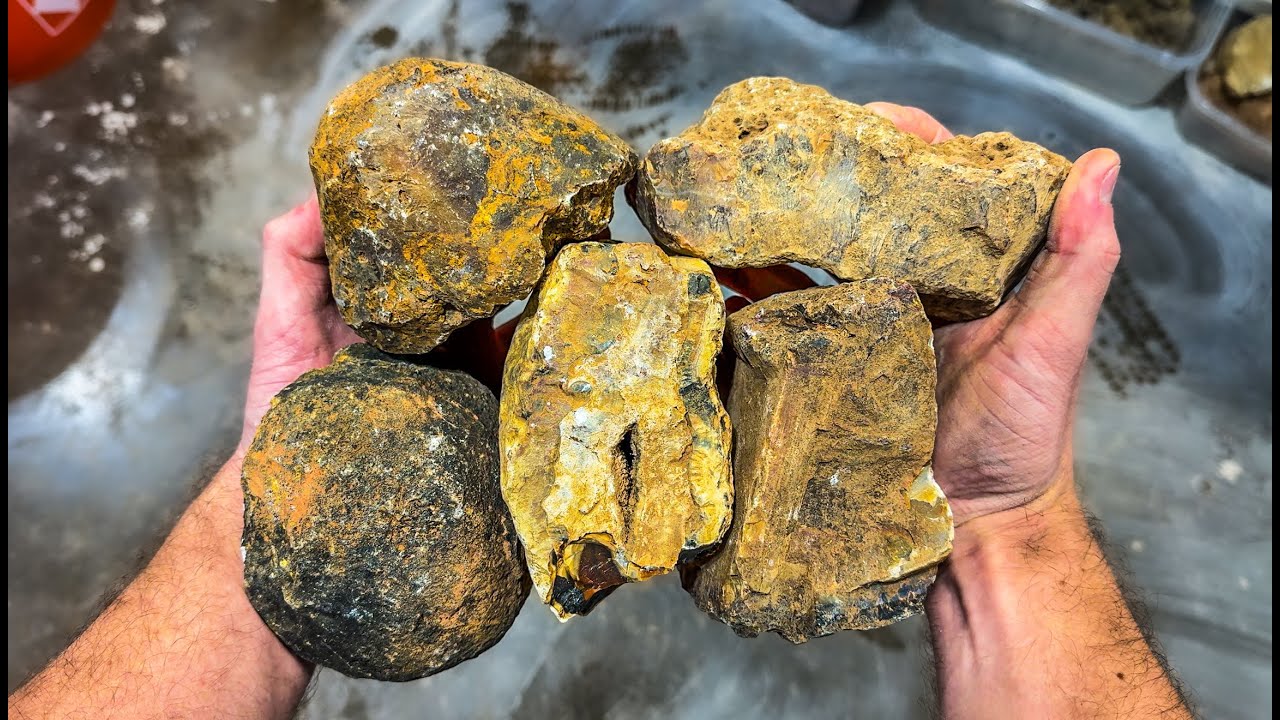 These 5 Agates Looked Boring Until I Cut Them Open!