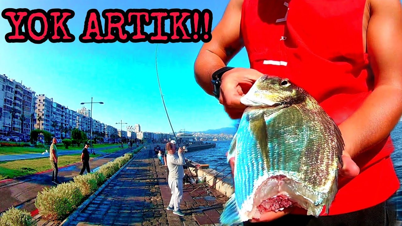 YOK ARTIK!! İZMİR KORDON (BALIK AVI) YİNE YAPTI YAPACAĞINI..