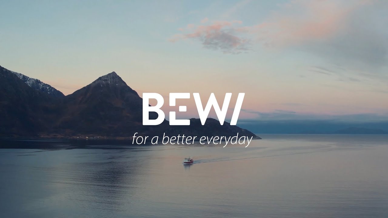 BEWI Sustainability vision