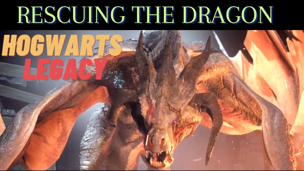 Hogwarts Legacy Rescuing the Dragon
