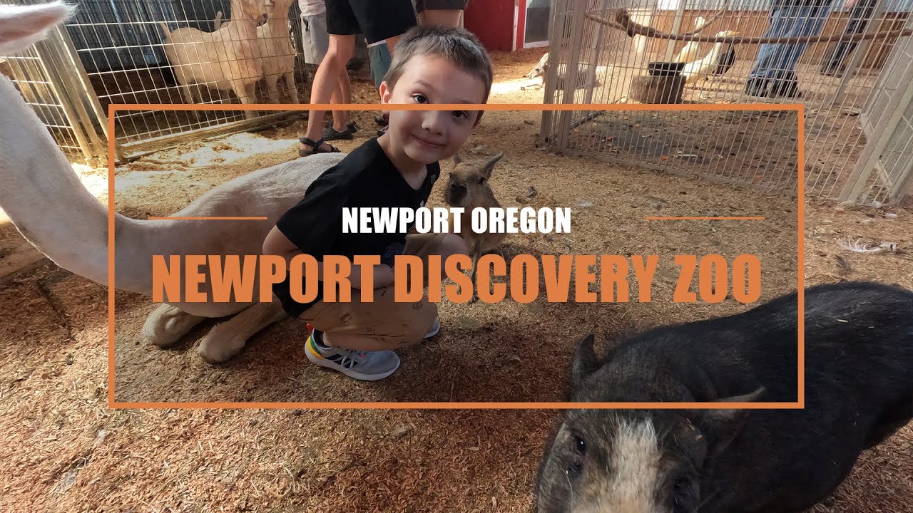 Newport Discovery Zoo | Newport Oregon