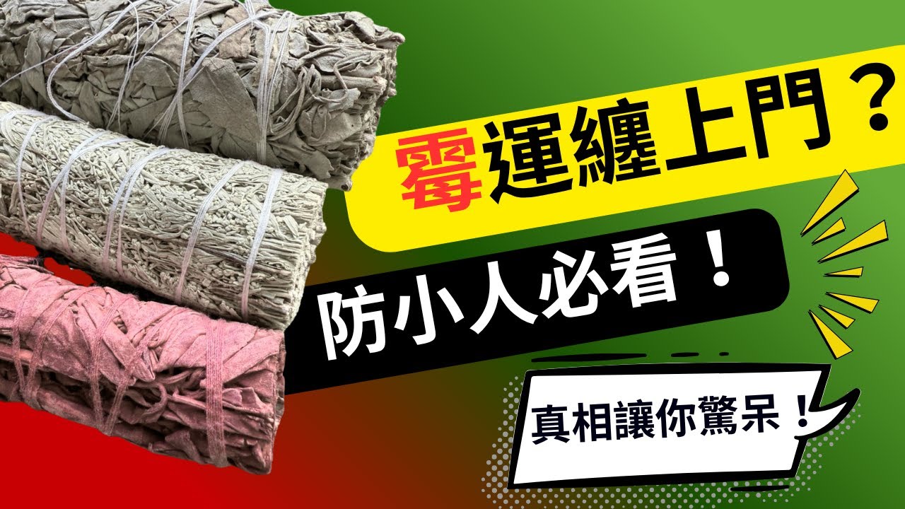 原來龍血鼠尾草這麼猛！白鼠尾草、藍鼠尾草完全比不上？You&rsquo;re Using the Wrong Sage! Here&rsquo;s the Most Powerful One! #正能量 #能量療愈 #淨化