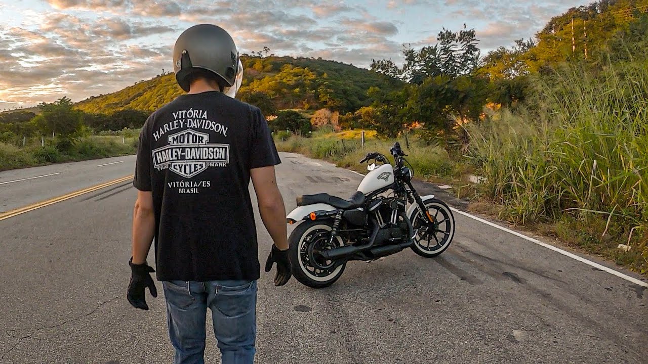 Harley Davidson 883 Iron