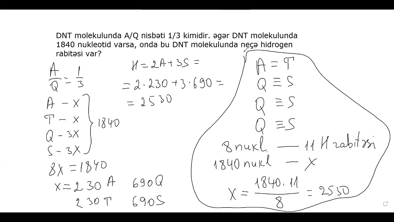 DNT məsələləri izahları ilə. Oktyabr qrupu.
