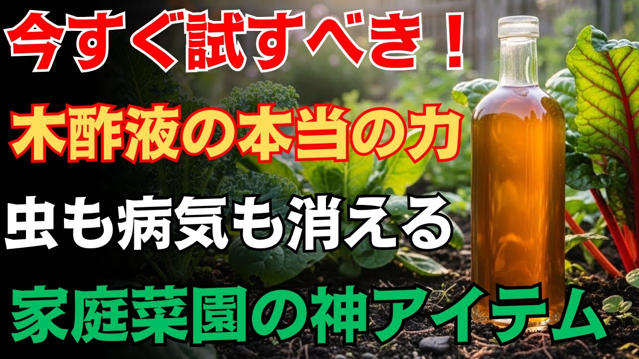 【９９％が見落とす家庭菜園の鍵】木酢液で農薬ゼロ栽培！知られざる3つの効果と使い方を徹底解説【初心者向け】
