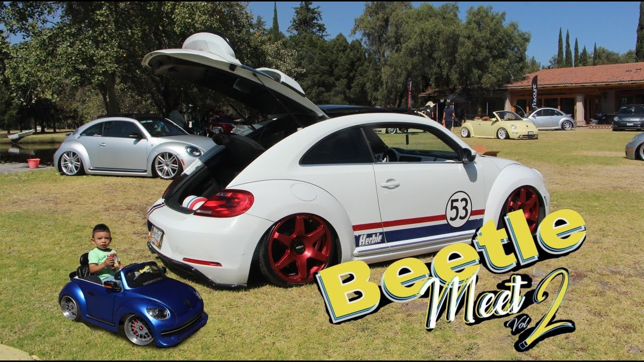 ¡Beetle Meet 2! Para puros amantes de los ESCARABAJOS.