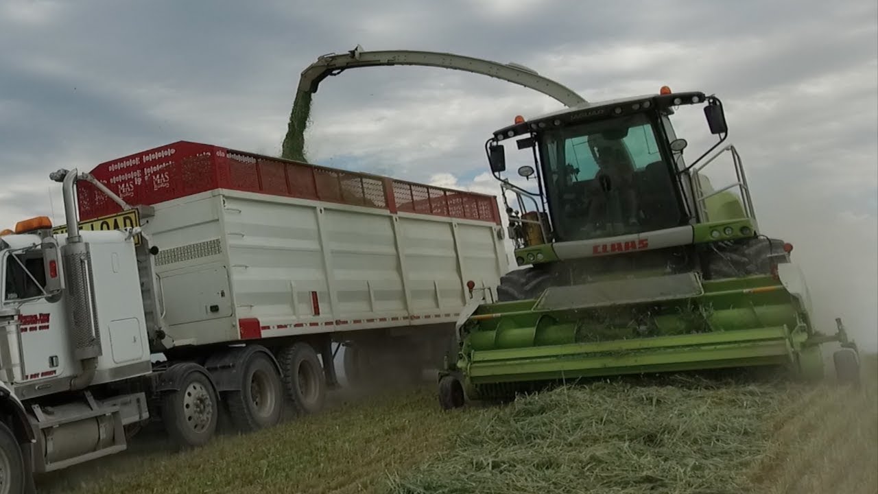 LIVE THE DREAM III - Neutral View Harvesting Texas to Montana, USA 2017