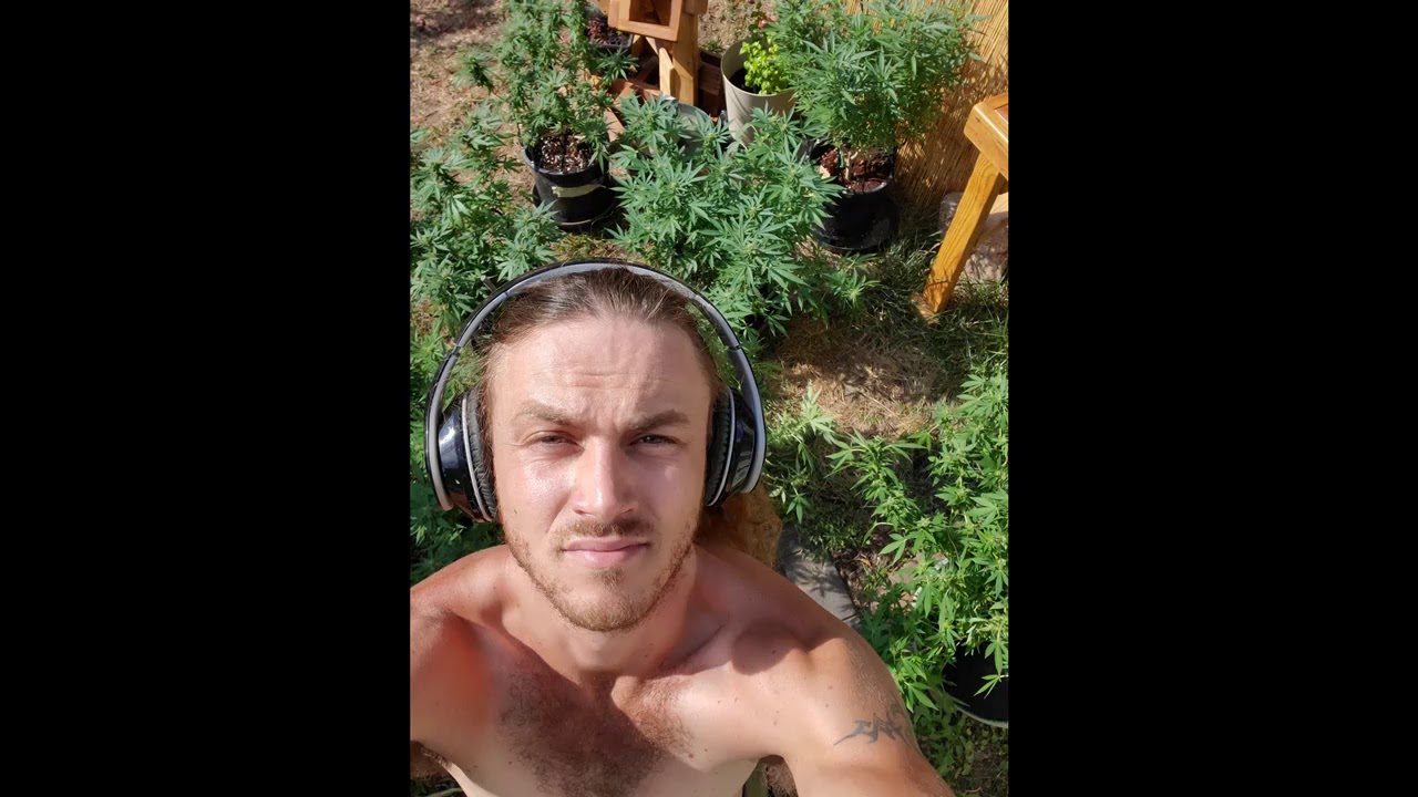 Outdoor and Indoor Grow Update 2019