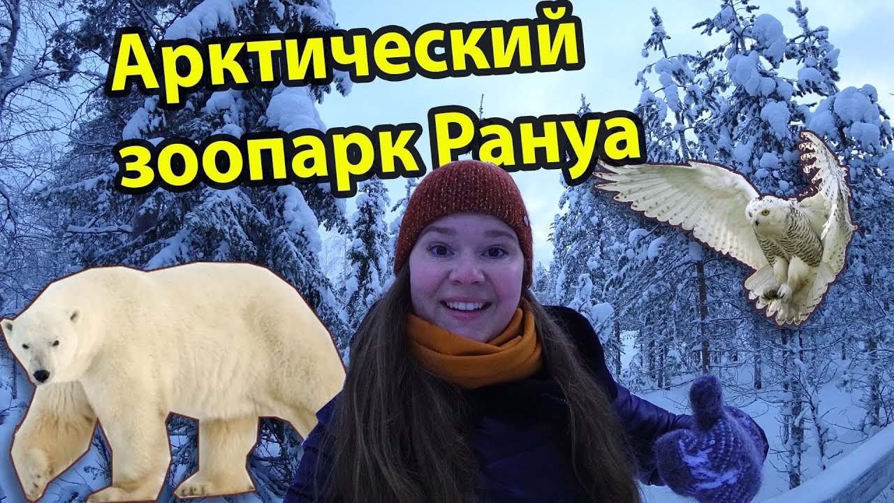 Финляндия Рануа арктический зоопарк дикой природы Ranua zoo в Лапландии. Для взрослых и детей