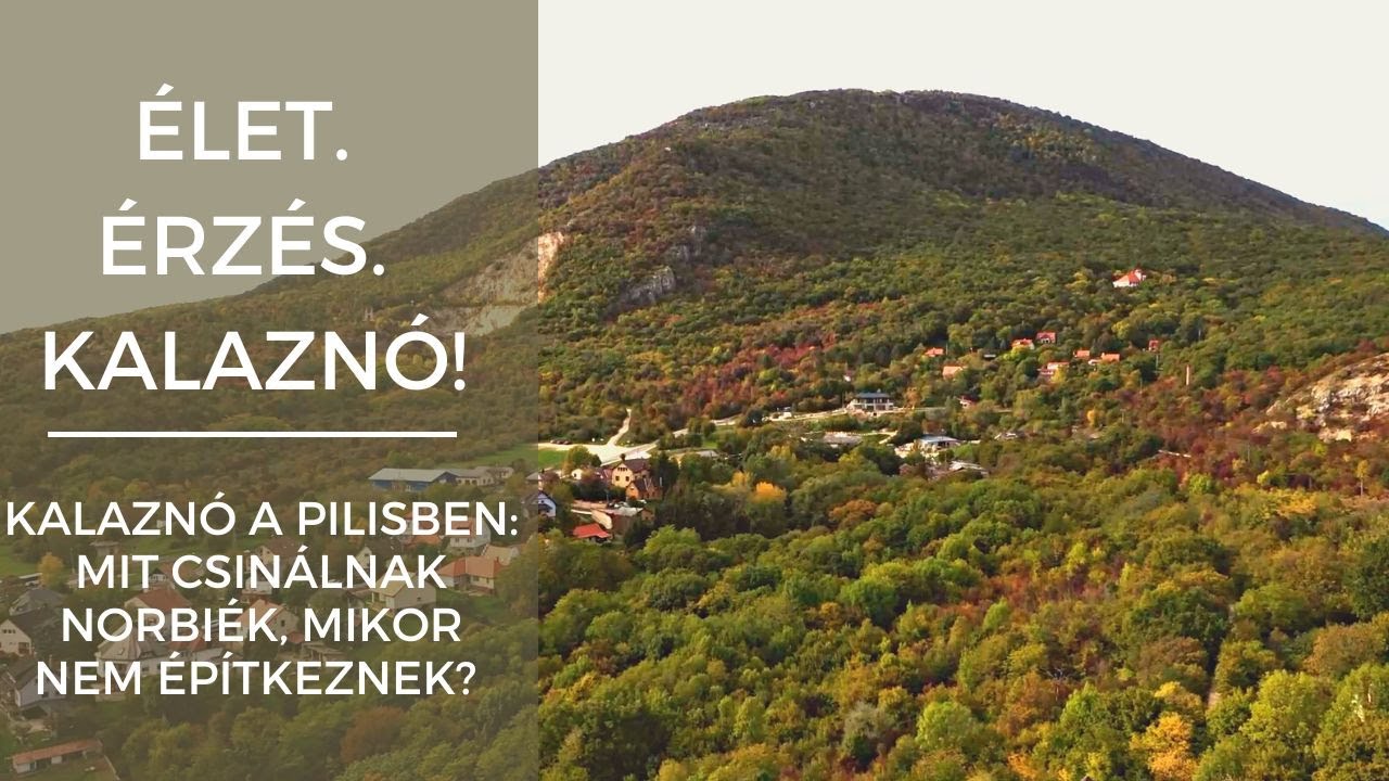 Kalaznó a Pilisben: Mit csinálnak Norbiék, mikor nem építkeznek?  - Élet. Érzés. Kalaznó!