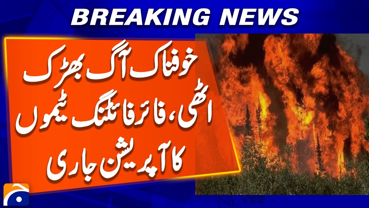 Fire breaks out on Fizagat Dar-e-Qada hill in Swat area | Breaking News