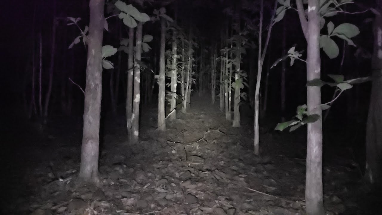 En este lugar Asustan hoy si lo Comprobé Minuto 1:02 Creí q un árbol caería encima y no era Nada 
