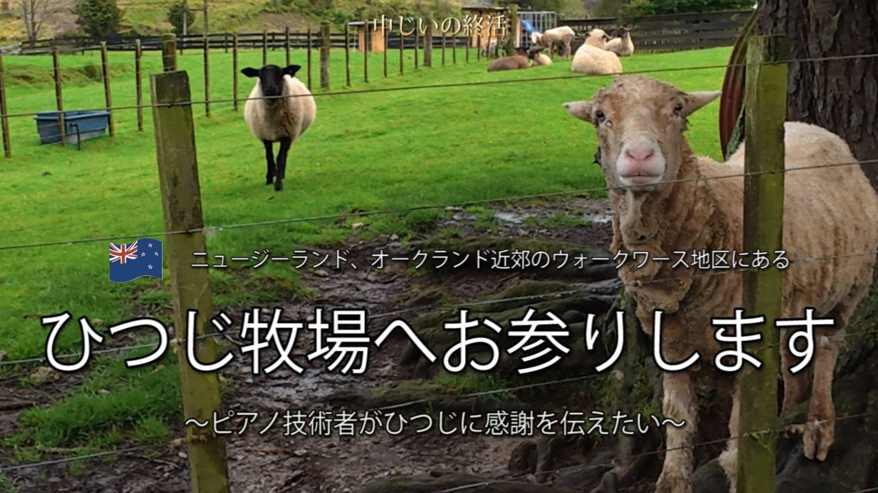 ピアノ技術者の二人が一緒にひつじ牧場へお参りにいく話です　Visit a Sheep Farm to solute them to say Thank You as Piano Technician
