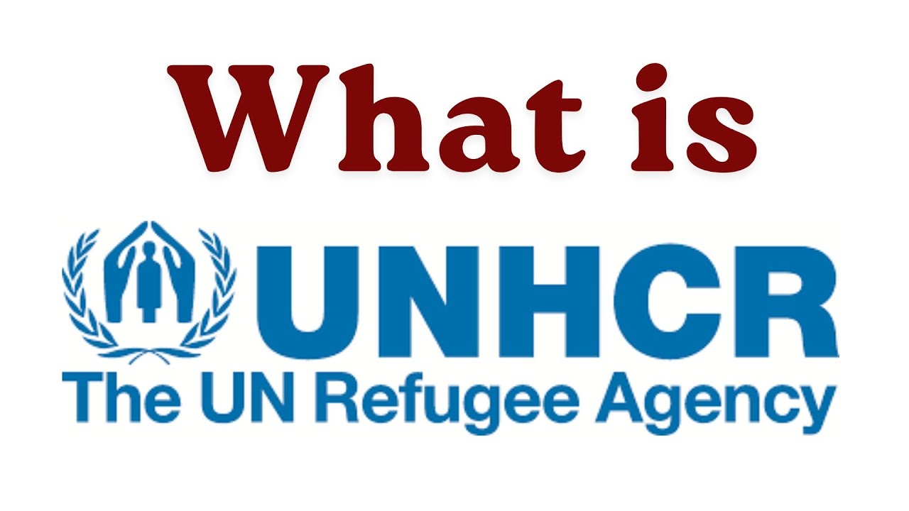WHAT IS UNHCR?