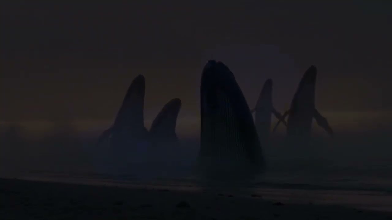 The Planet of the WHALES  - XTHINK