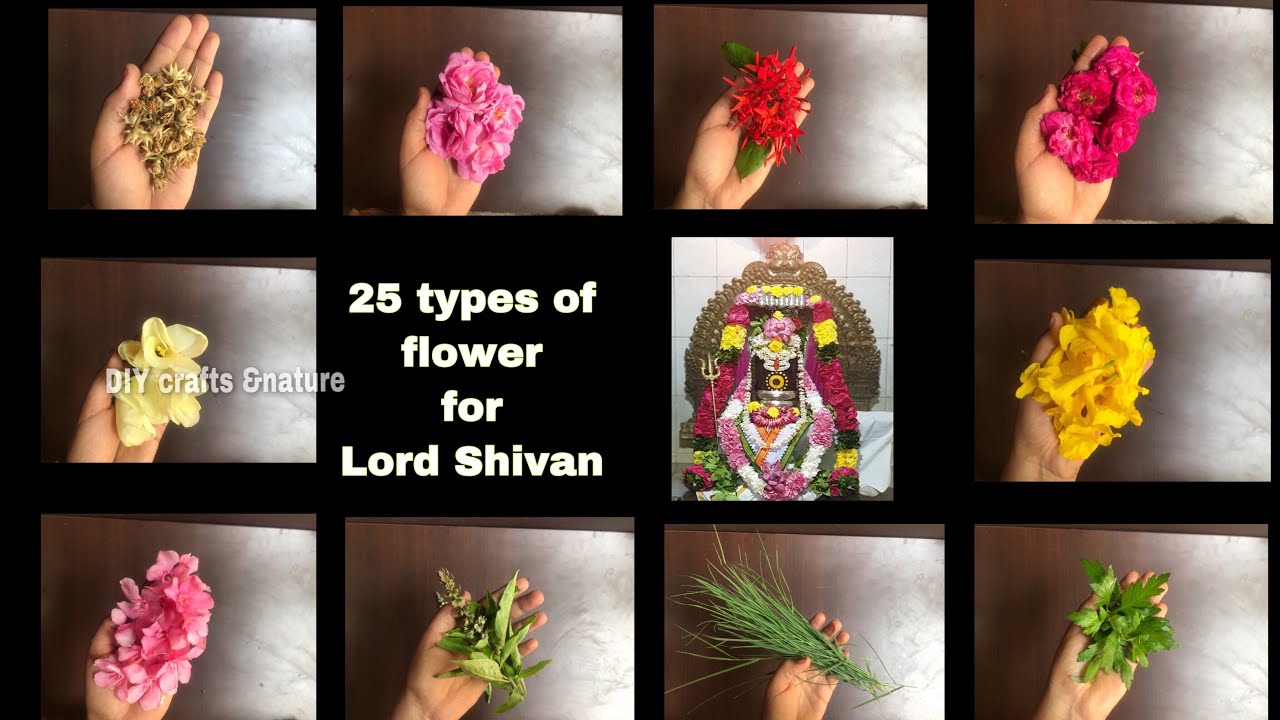 25 types of Flowers for Lord shivan - Part-1 | Flowers for Lord Ganesha | Garden flowers