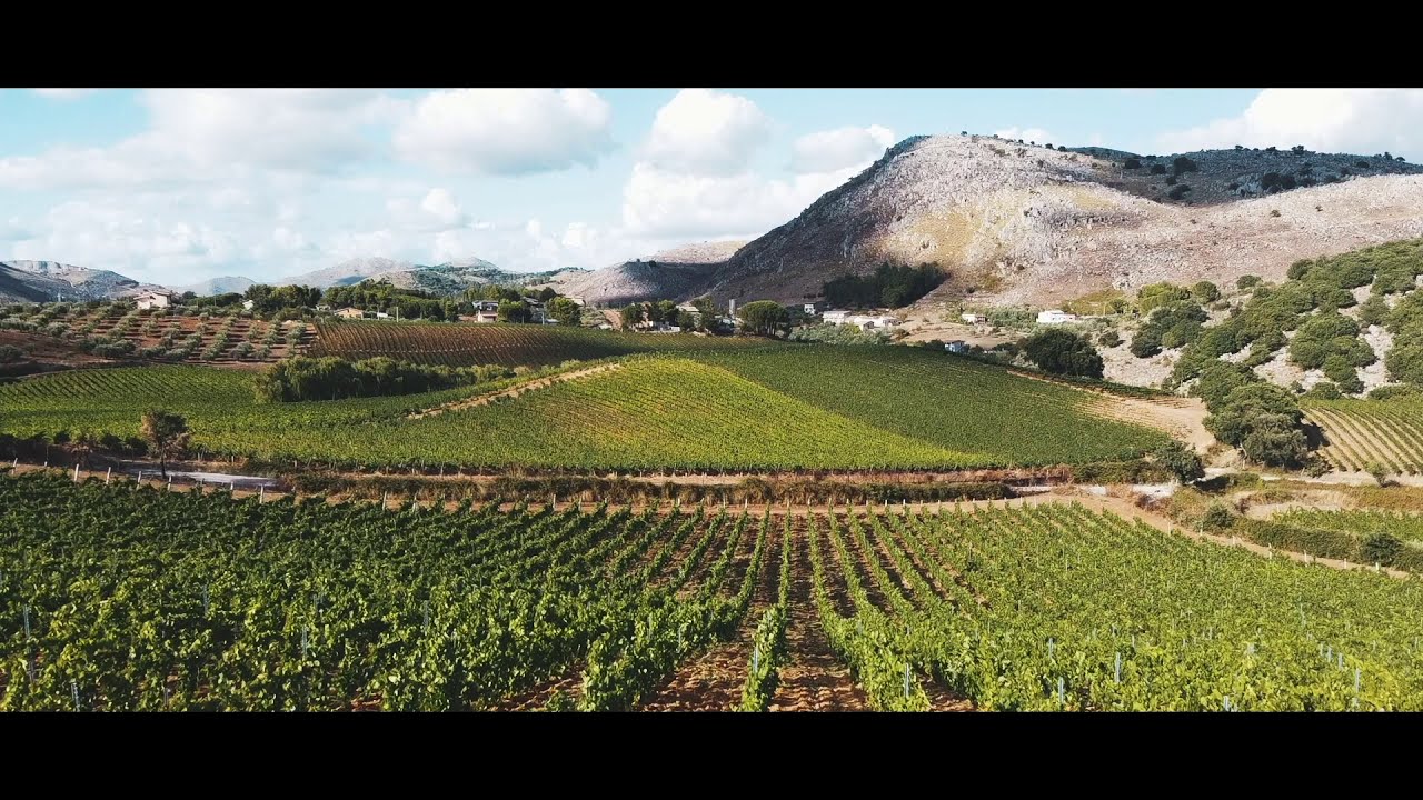 Video presentazione Baglio di Pianetto 2020