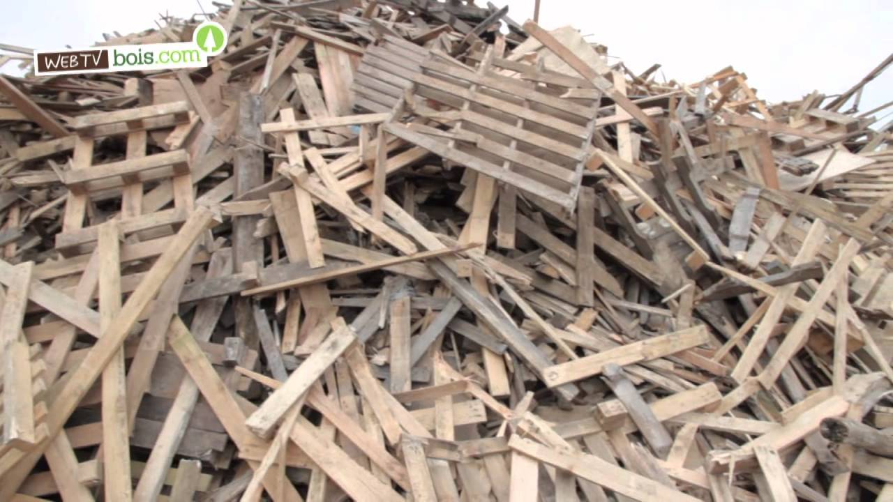 Bois et recyclage