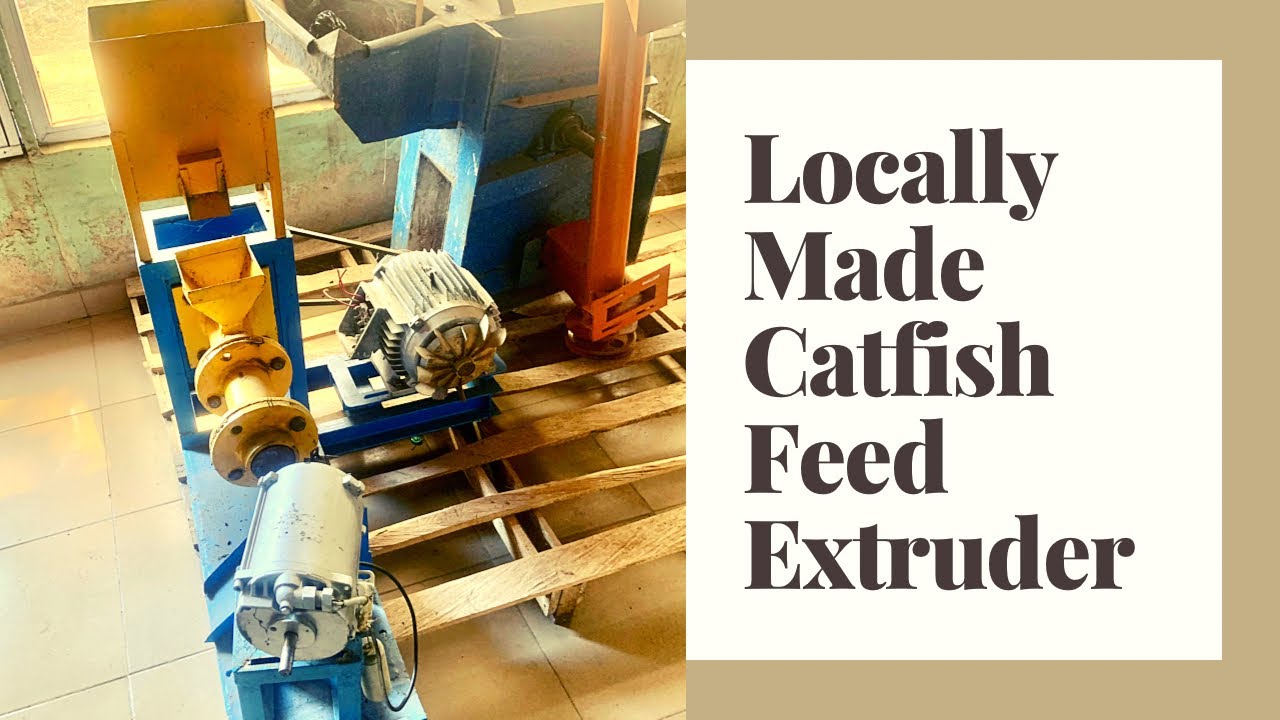 Catfish Feed Production: Using Locally Made Extruders #catfish #fishing