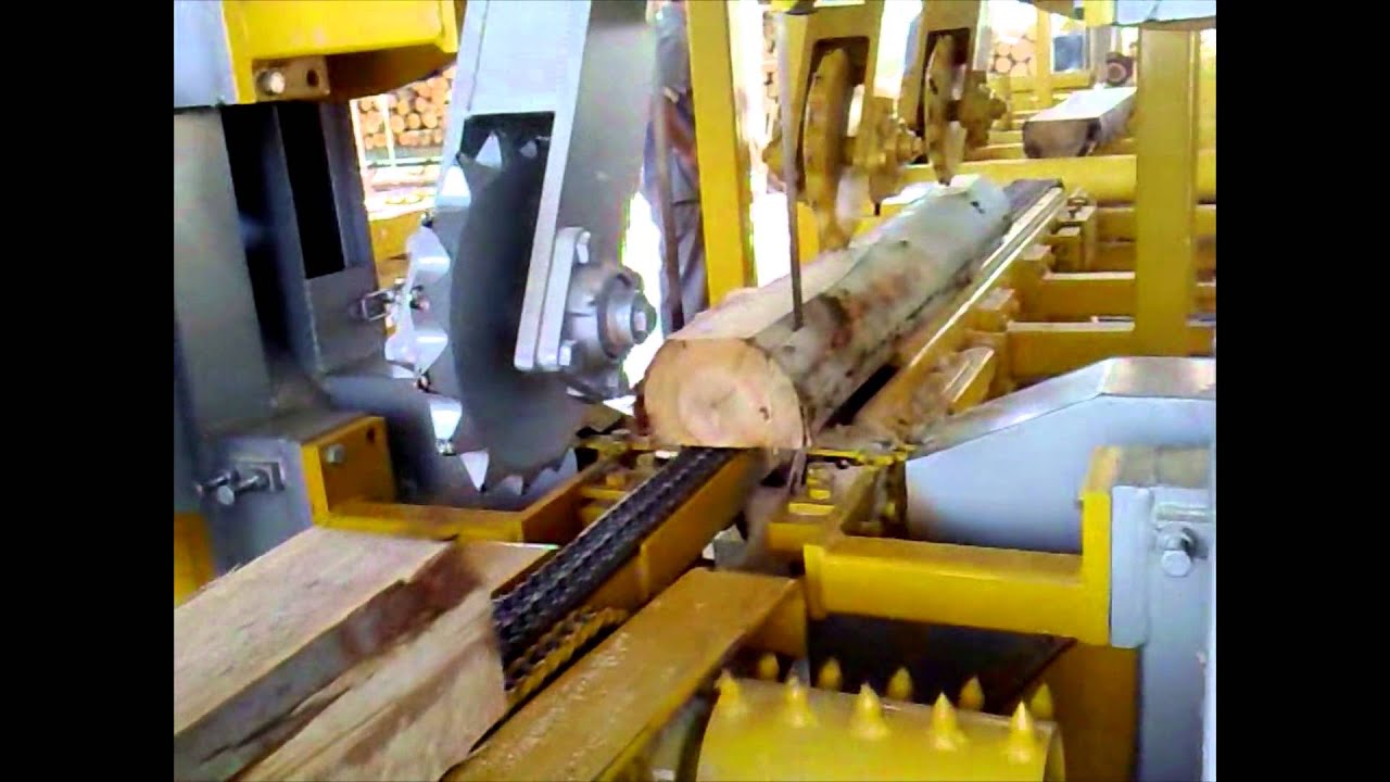 Mill Serras - Serraria Eucalipto