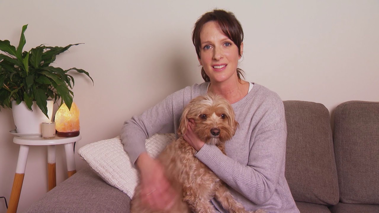Snake bite and dogs - Health advice on Diagnosing and Treating Snake Bite | S3 Ep8 | Pooches at Play