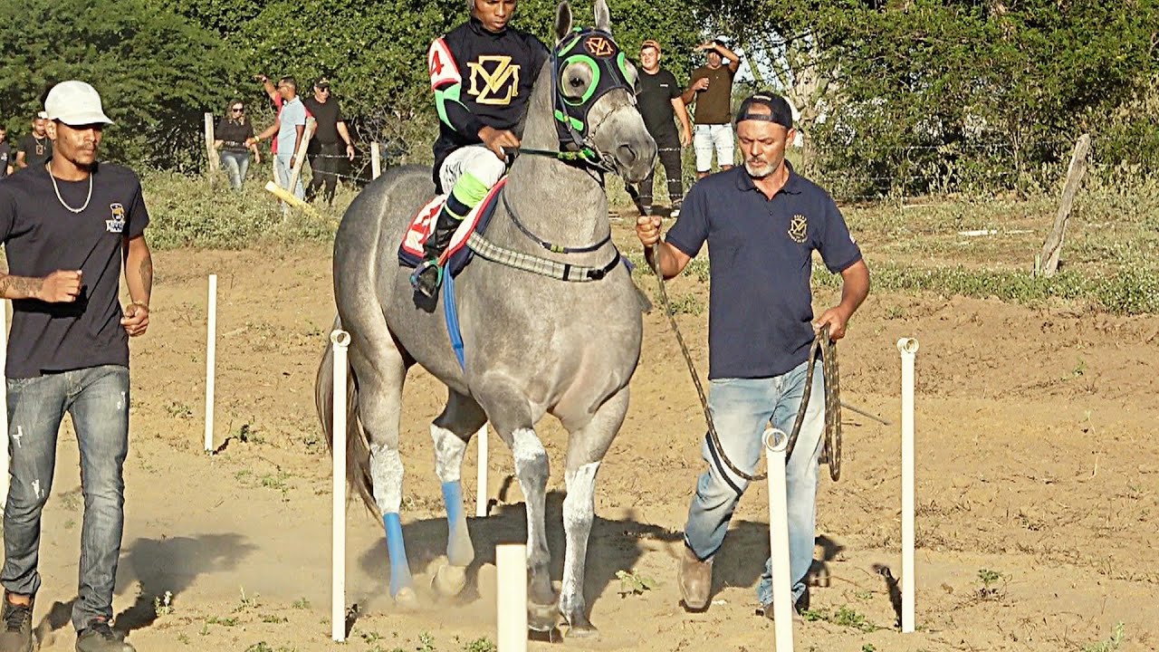 VIII GP Haras Grupo Pereira e Haras ZM - Classificatórias e FINAL