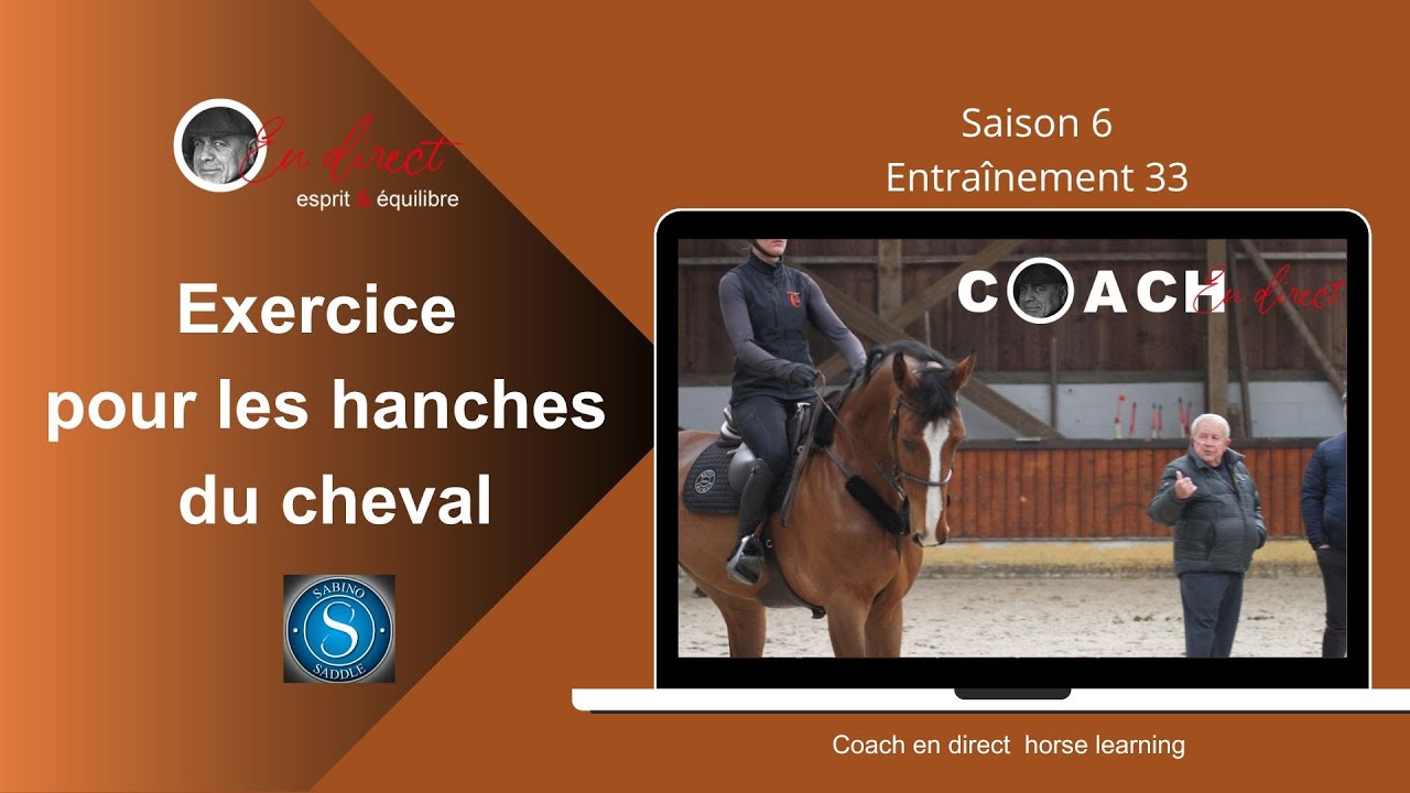 Gymnastique d'assouplissement : les hanches et l'équilibre du cheval.