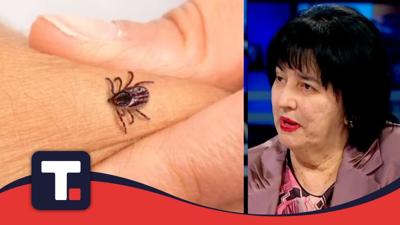 Ubod krpelja i lajmska bolest - Radmila Šehić - DOBRO JUTRO TANJUG