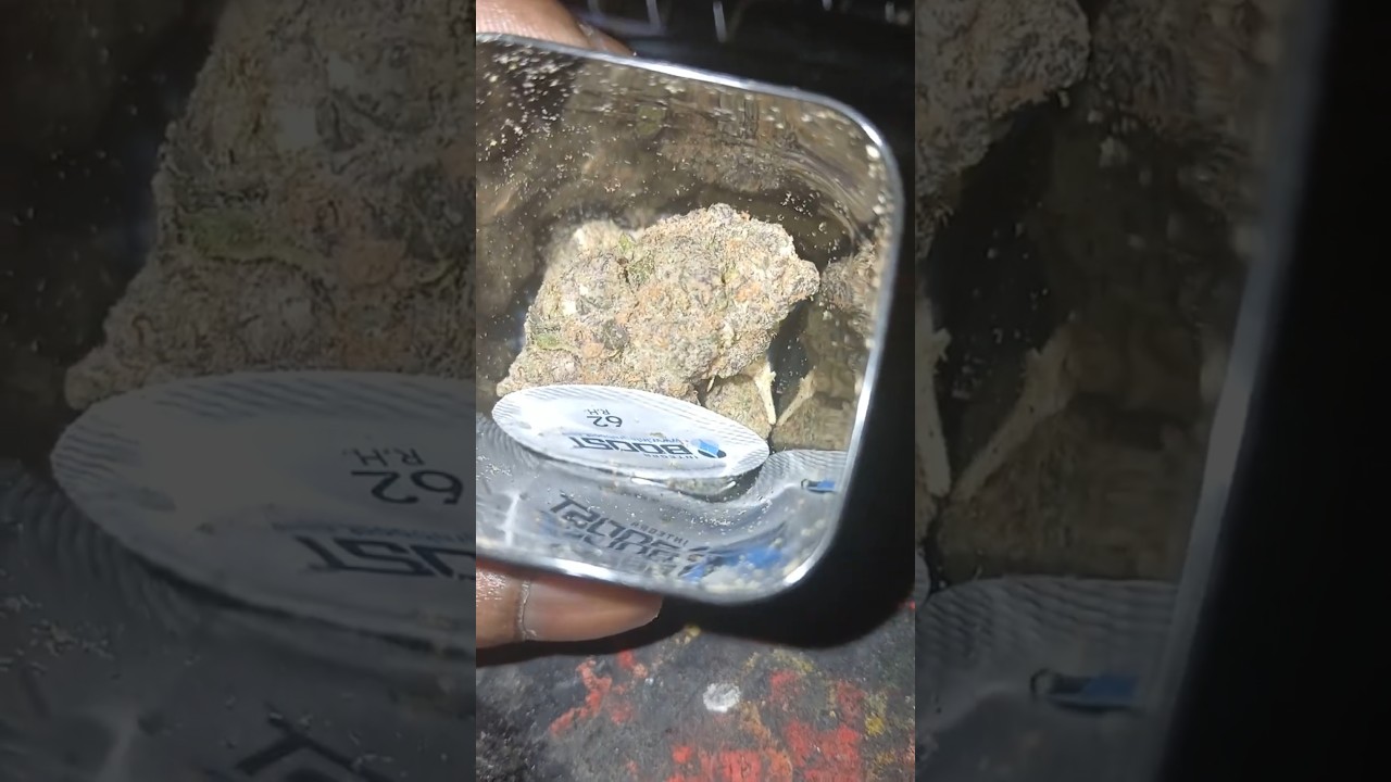 Apotheca dispensary Greensboro Nc THCA (CHEM DAWG) review