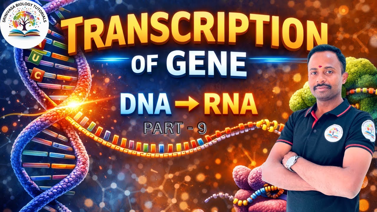 MOLECULAR BASIS OF INHERITANCE