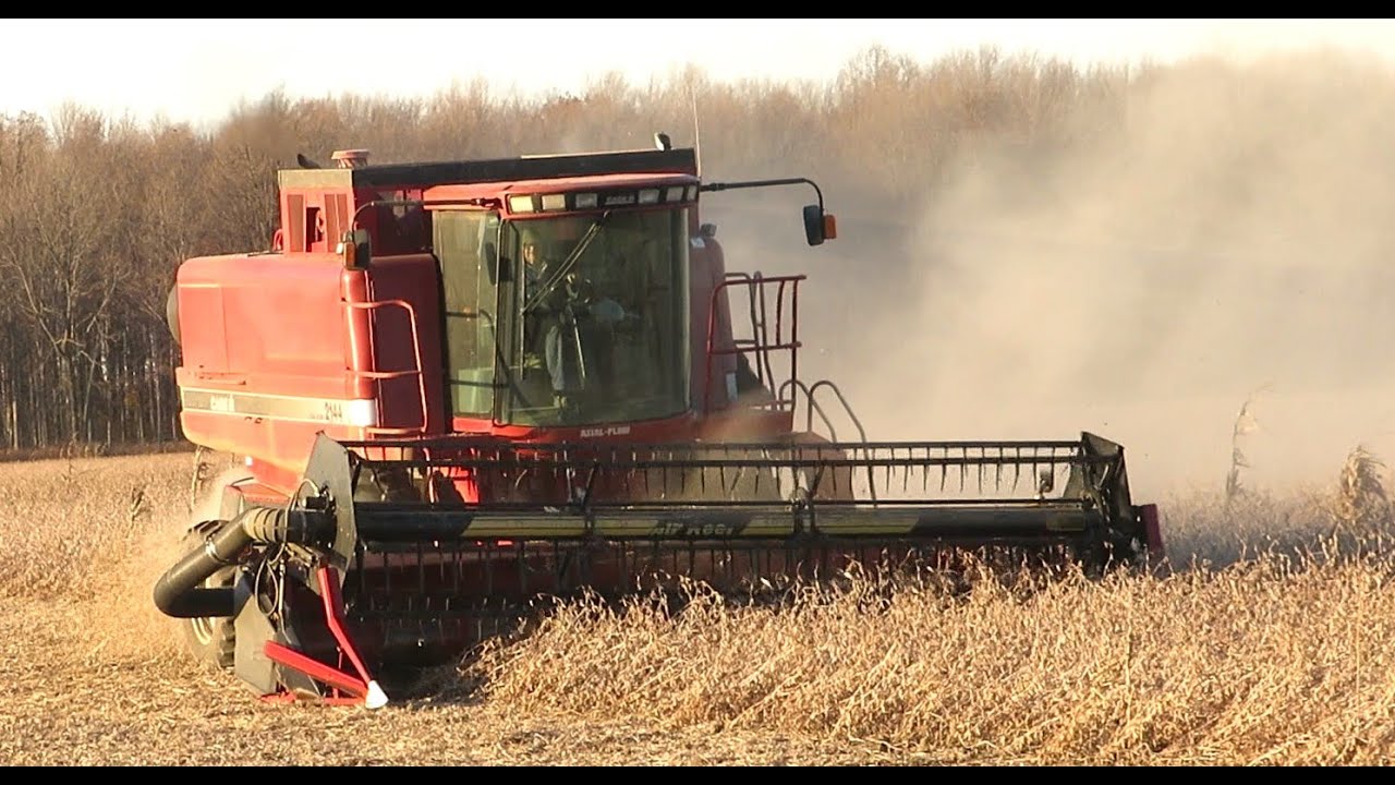 Harvest 2020 | Case IH 2144 Axial Flow Combine Harvesting Soybeans | Ontario, Canada