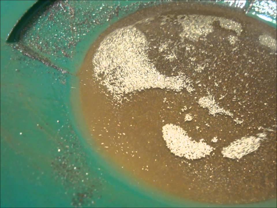 Demo of sulfides from gold cleanup floating on water