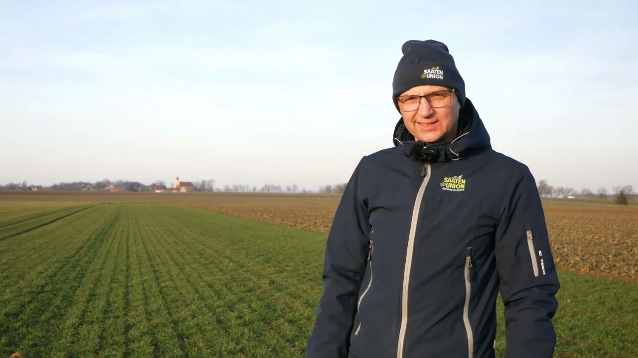 DemoFarma Yara - pszenica ozima na początku wegetacji - dokładny opis nawożenia, odmian oraz ochrony