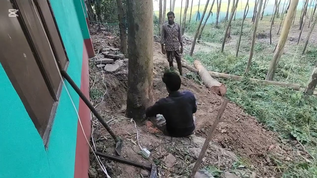 দক্ষতার সাথে ডিজিটাল মেশিনে বিশাল গাছ কাটা | বন ধ্বংসের ভয়ংকর বাস্তব চিত্র
