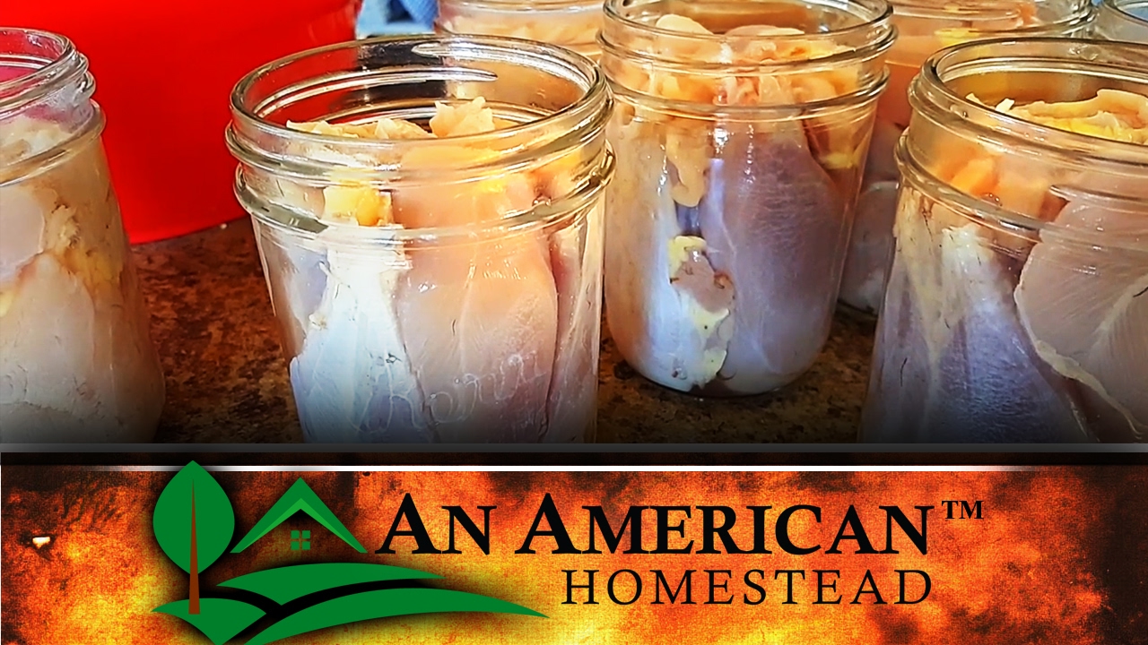 How To RAW PACK Chicken In Jars For Canning