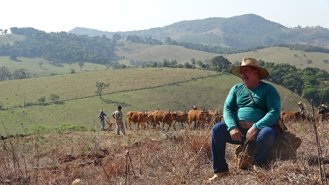 ARAÇÃO DE TERRA EM BORDA DA MATA-MG