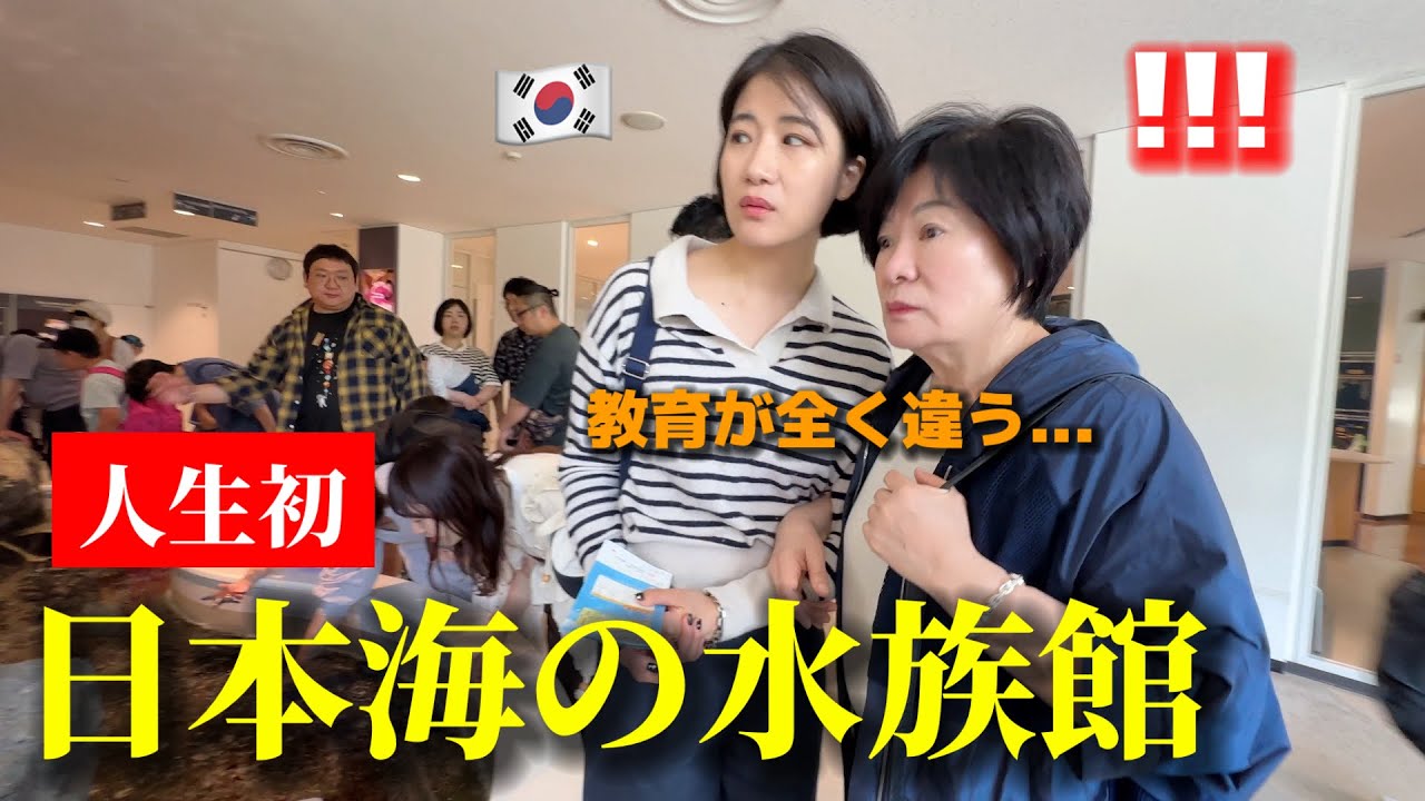 韓国人が初めて日本海の水族館に行って本当に驚きました…