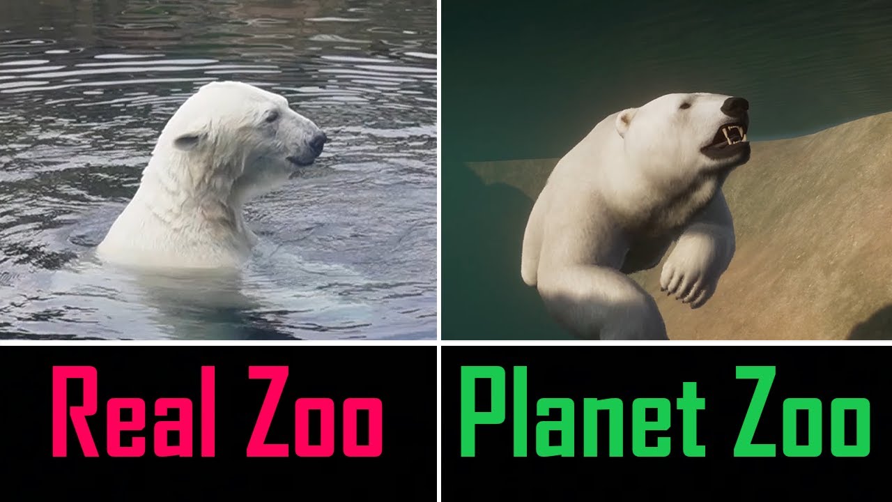 I went to a REAL Zoo Before Playing Planet Zoo