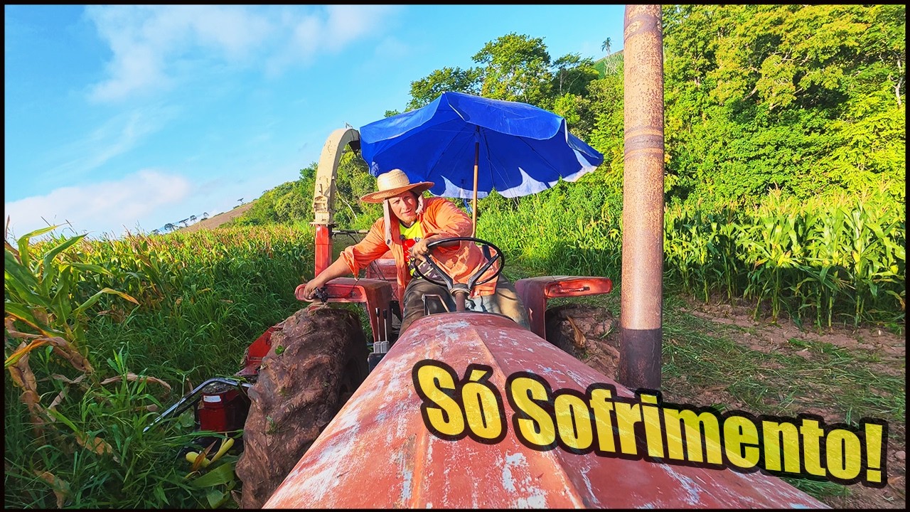 TRATOR SEM DIREÇÃO O OPERADOR SOFRE! NÃO TO AGUENTANDO MAIS TRABALHAR COM O MASSEY FERGUSON 85!