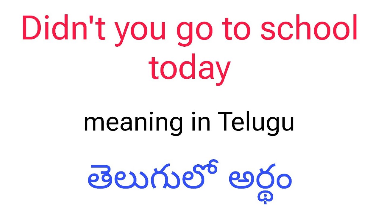 Didn’t you go to school today? meaning in Telugu || Didn’t you go to school today? తెలుగులో అర్థం
