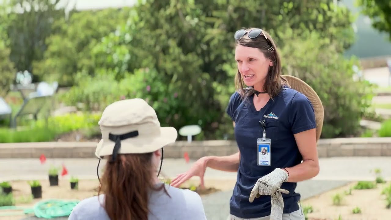 Smart Irrigation Month - Street Strips Highlight