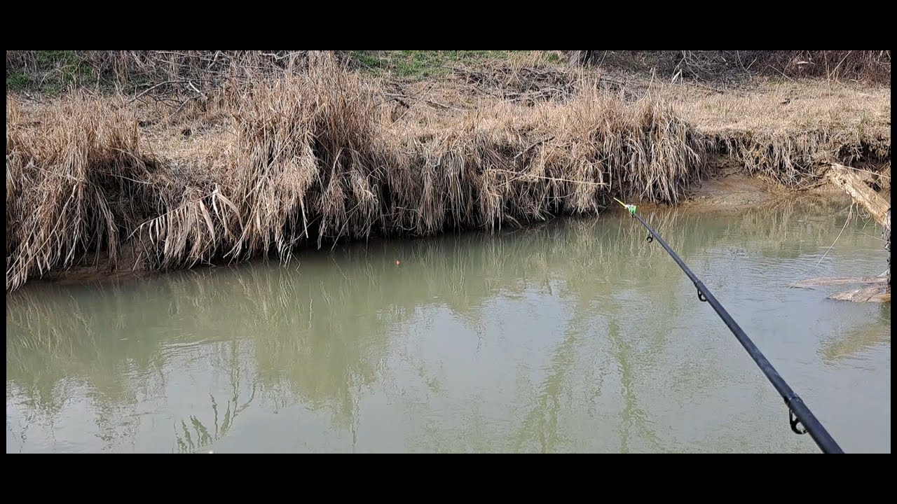 Рыбалка для души Карасик Ташкентский и Грибы