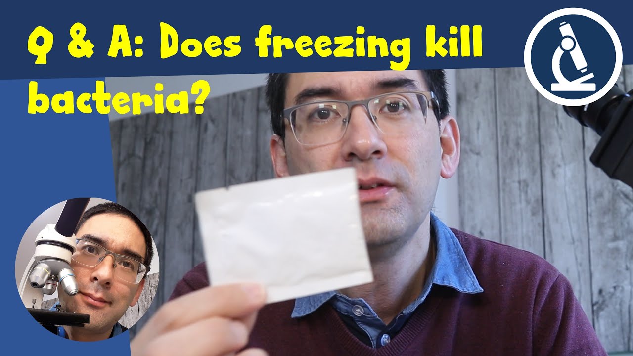 🔬 Does freezing kill bacteria? | Amateur Microscopy