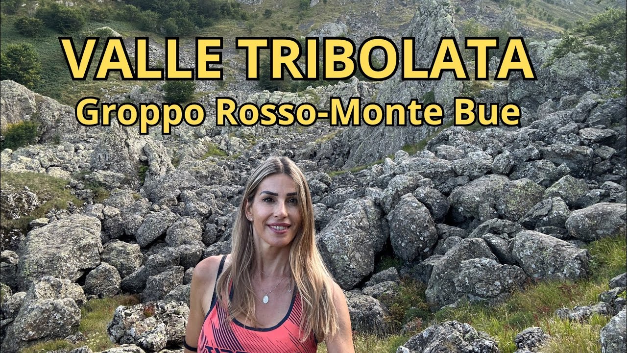 Valle Tribolata, Groppo Rosso, Monte Bue, Dente delle Ali dal Passo Crociglia