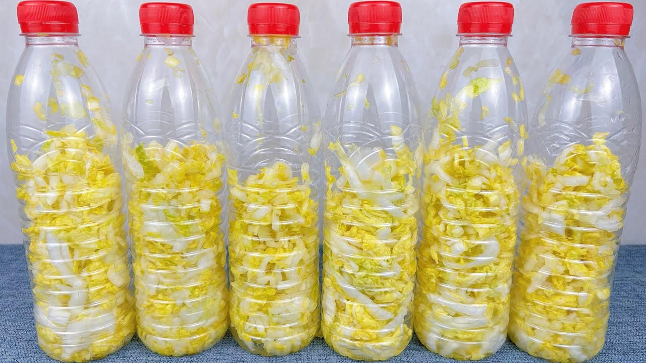 用礦泉水瓶就能醃酸菜，既簡單還0失敗，每年冬天我都要做十多瓶，快學學  ， A recipe of  Pickled cabbage，腌白菜